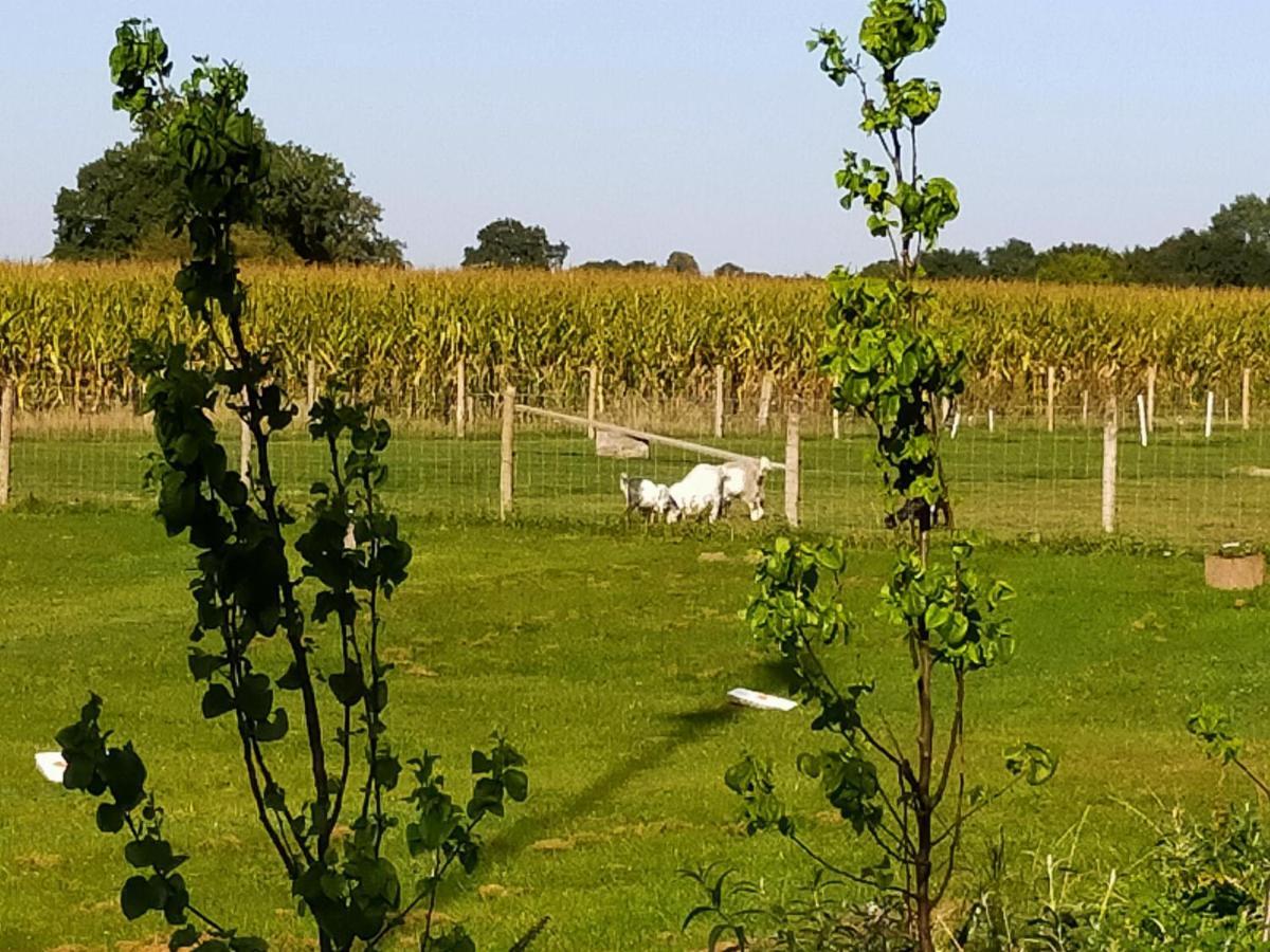 De Vrije Wei Broekland (Gelderland) Bagian luar foto
