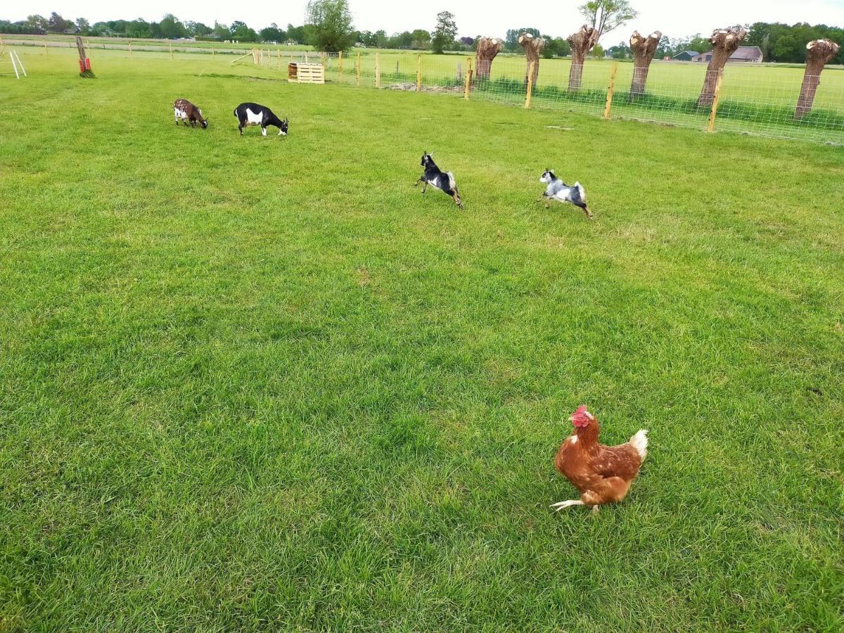 De Vrije Wei Broekland (Gelderland) Bagian luar foto